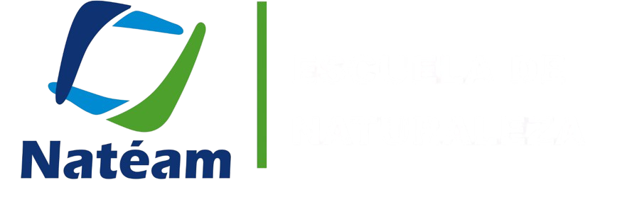 Logo_letras_blancas-removebg-preview