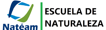 cropped-Nuevo-logo-sin-fondo.png