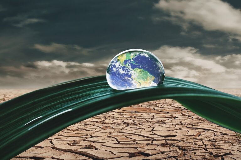 Cambio Climático