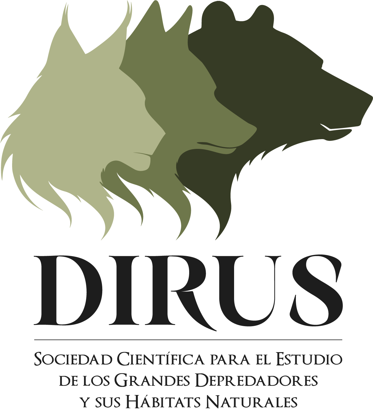 1 Logo DIRUS Full