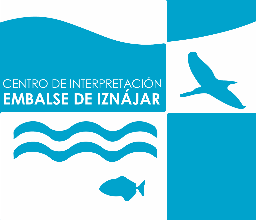 LOGO ESTACIÓN png