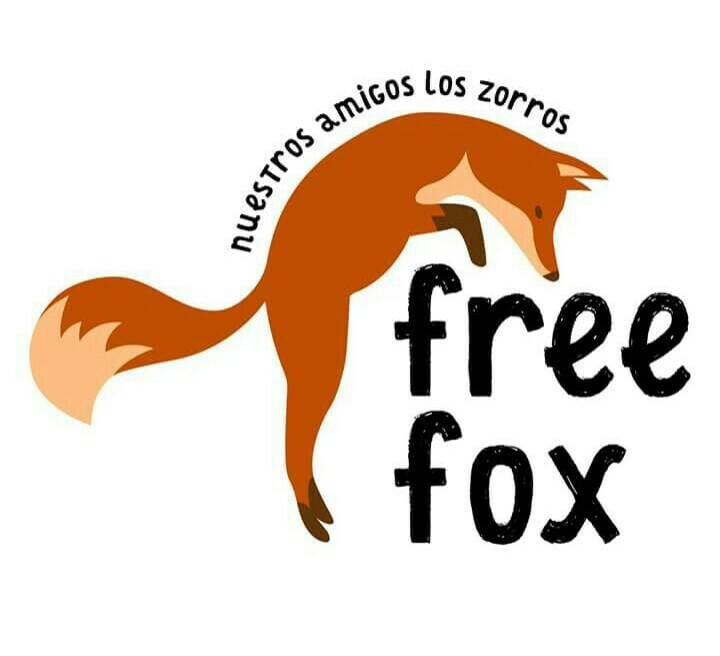 Logo zorro