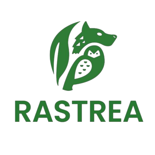Logo_rastrea-removebg-preview